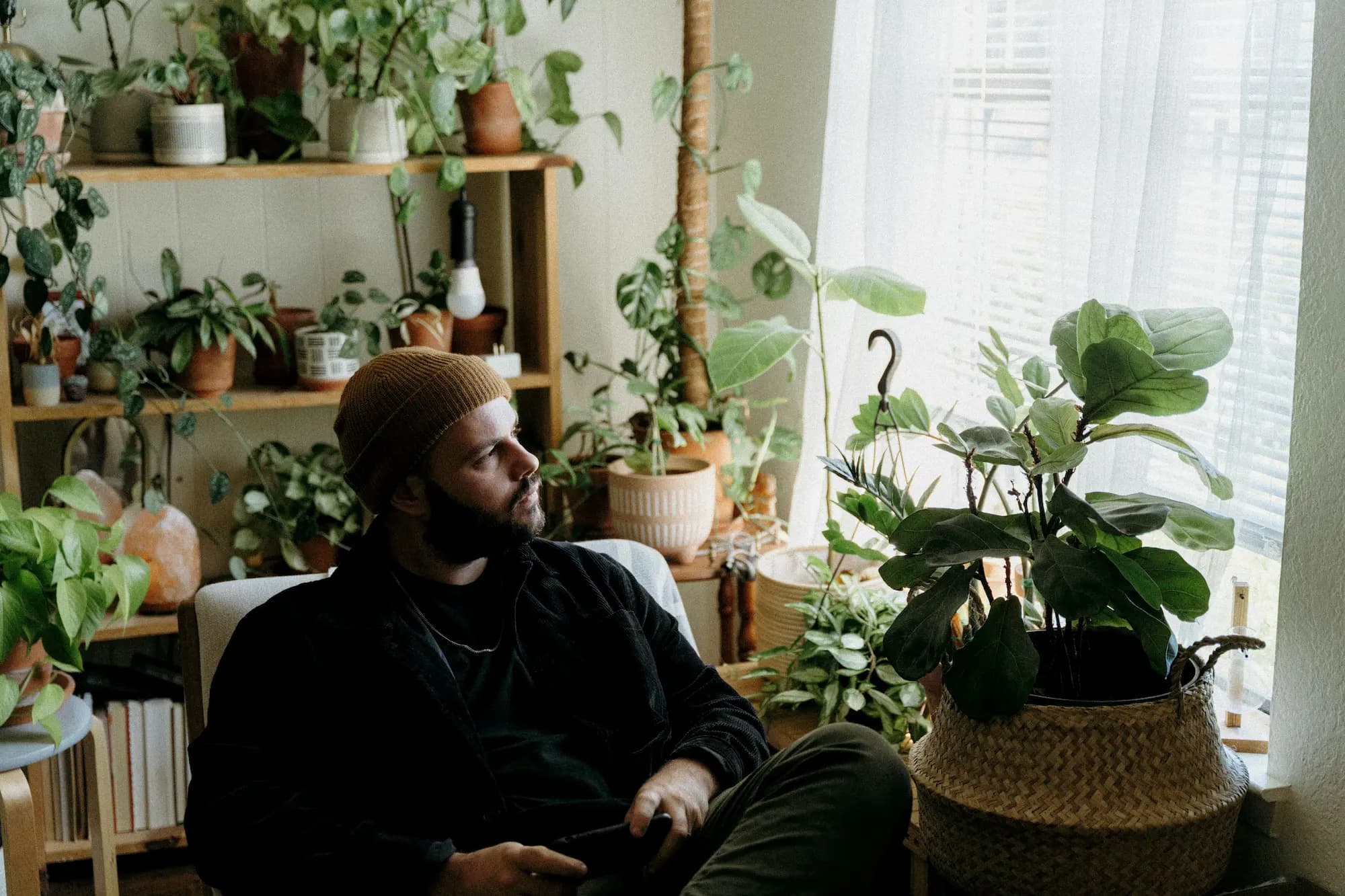 L'âme du Cabinet Vert — passion pour les plantes rares